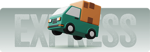icon delivery